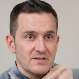 Nagy Péter vélemény